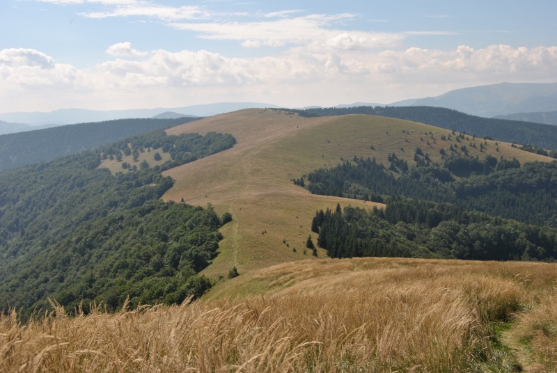 pepajs.cz